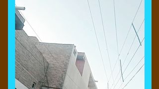 See the public