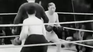 Funny Video