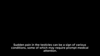 Recognizing sudden testicle pain and responding to it Very important