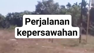 PERJALANAN KEPERSAWAHAN