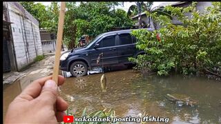 Amazing fishing fish