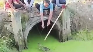 Penemuan buaya