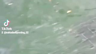 fishing for monster predator fish