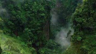 the charm of Indonesia's forests and mountains