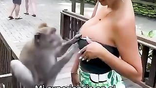 Tiktok compilation Tiktok compilation1