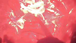 ???? amazing videos