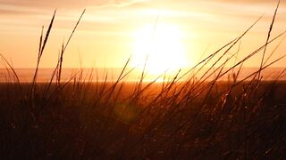 Sunset in beach side