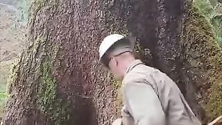 amazing video