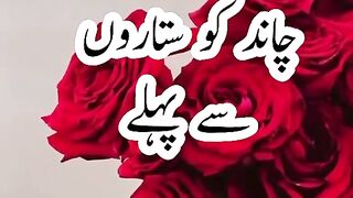 2023 mobarak