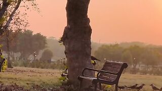 Beautiful view