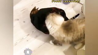 You're the cat's meow.