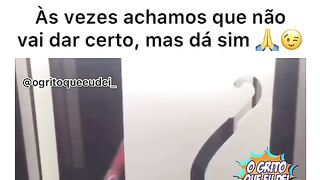 motivaçao