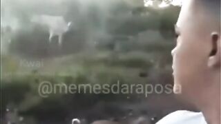 Rir faz bem