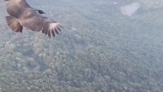 The_best_view_#explore_#nature_#vlogs_#reels.