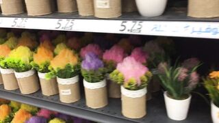Beautiful flowers