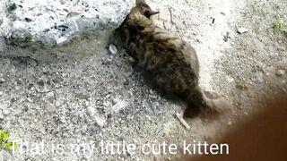 @My little cat@cute@funny@baby