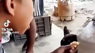 Funny video
