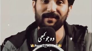 Dost Bichar gy sary