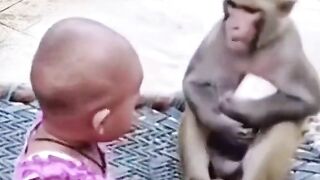 Monkey and cute baby girl playing with mobile