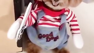 SUPER CUTE ???? OR SUPER SCARY????? YOU DECIDE.....