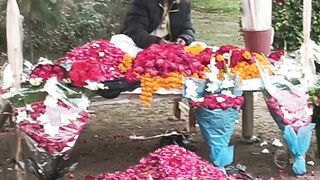 Flowers Sales Man