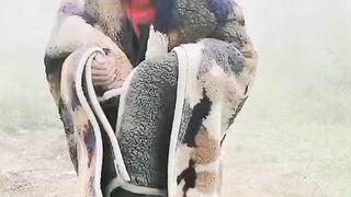 Entertainment with AliRaza funny videos#mazherAbbas1500