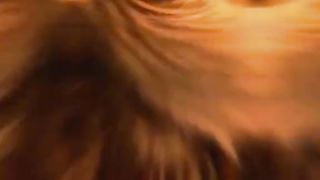 قصه
