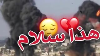 فلسطين ????????