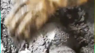 Concrete-Smoothing Machine Is So Satisfying