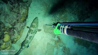 NIGHT SPEARFISHING EPISODE 98 | FISH HUNTING AT NIGHT