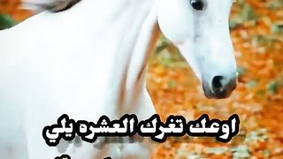 حالات واتس