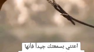 حالات واتس