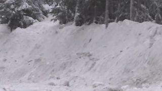 WRC Rally Sweden-1
