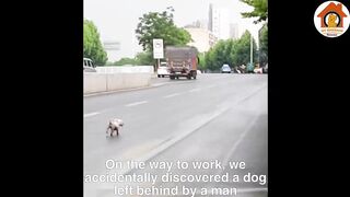 Left in the middle of the road_ she tried her best to run 2km to chase the owner_s car in tears
