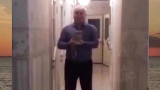 not the cat