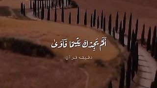 َالم يجدك يتيما فآوي