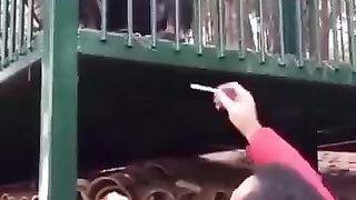 ফানি ভিডিও