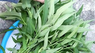 apalagi pakai pupuk dari id tanaman subur pupuknya bisa dipakai sampe ribuan tanaman