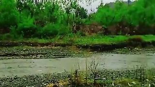 Best video