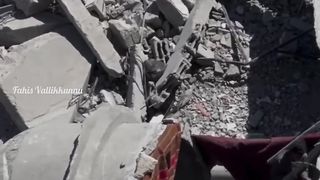 Palestine peace