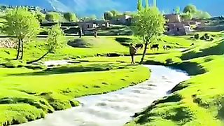 THIS VIDEO NEEDS NO TITLE