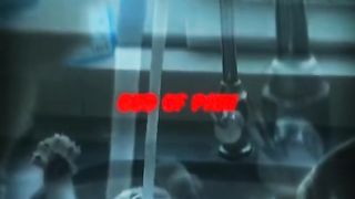 Cat Funny Video
