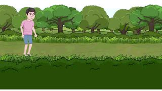 Animation video