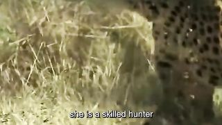 Wonders of the animal world 2024????‍????????‍????