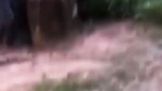He is dead