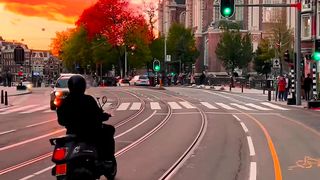nature Amsterdam Switzerland