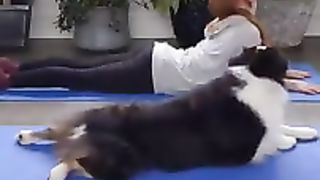 Dog doing yoga with his owner