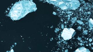 There is an amazing continent on our planet, completely different from all the others - Antarctica.