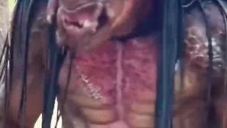 Alien Caught on American Jungle