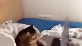 Works hard since early morning